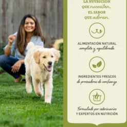 Acana Adult Large Breed ração para cães
