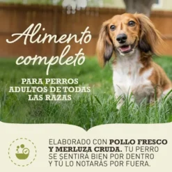 Acana Adult ração para cães