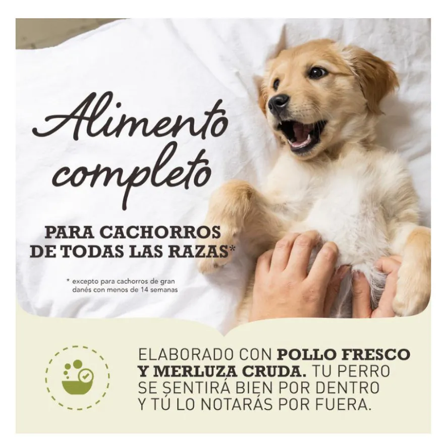 Acana Puppy & Junior ração para cães
