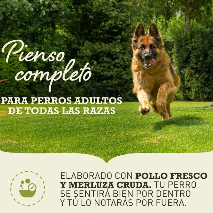 Acana Sport & Agility ração para cães