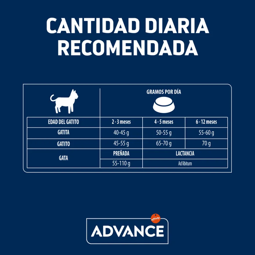 Advance Active Defense Frango e Arroz ração para gatinhos