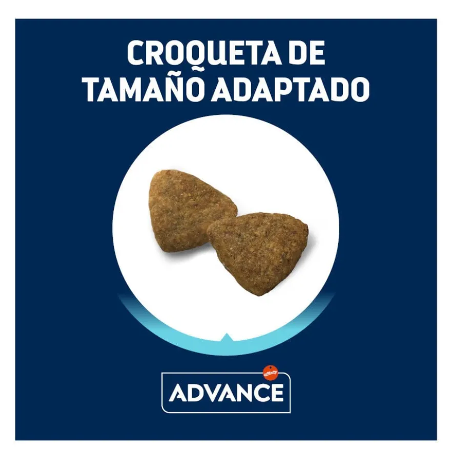 Advance Active Defense Medium Adult Frango e Arroz ração para cães