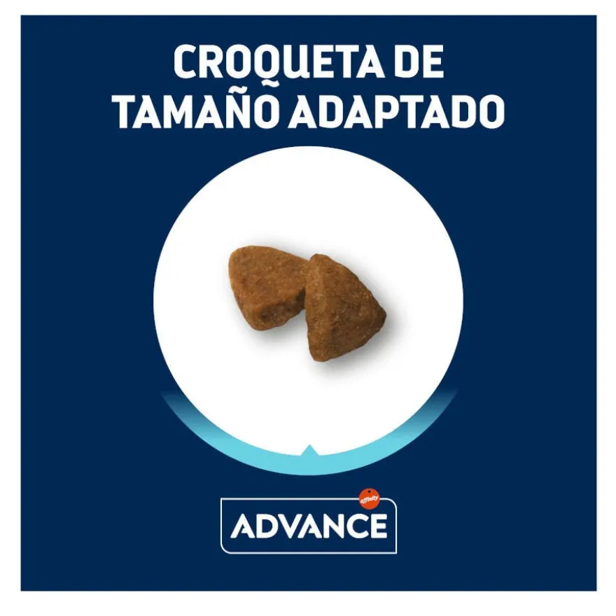 Advance Active Defense Mini Adult Frango e Arroz ração para cães
