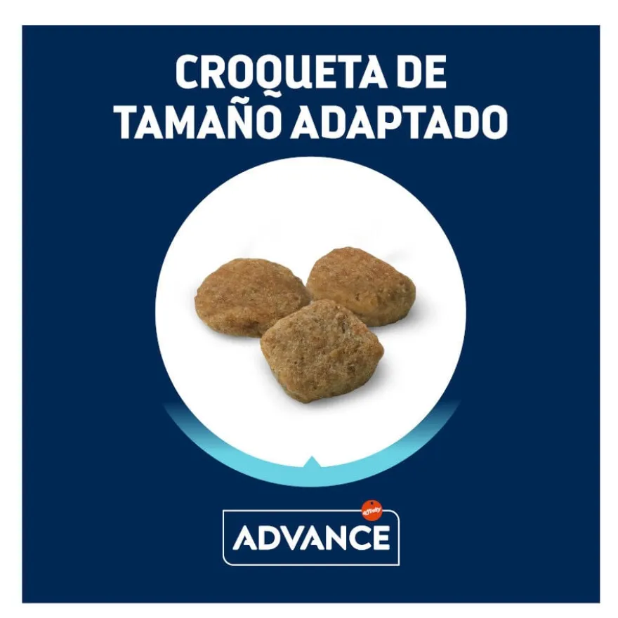 Advance Active Defense Senior Mini +8 Frango e Arroz ração para cães
