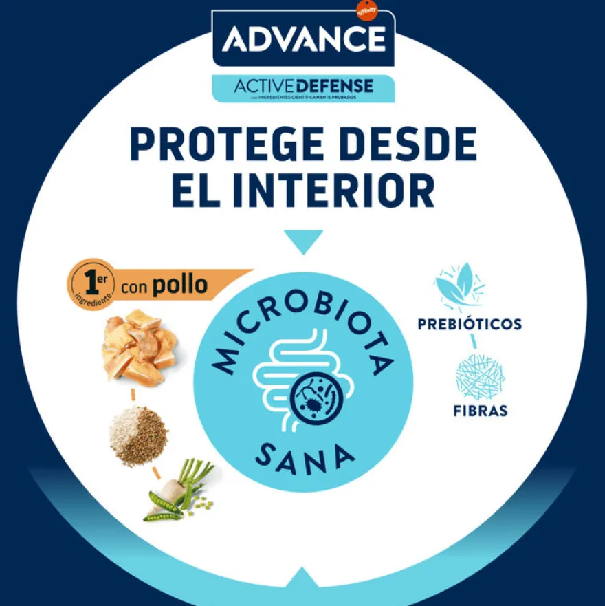 Advance Active Defense Young Sterilized Frango ração para gatos