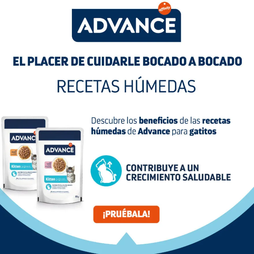 Advance Kitten Comida húmida de frango em saqueta para gatos