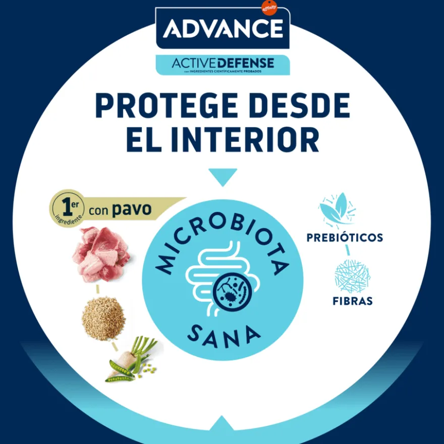 Advance Sensitive Adult Salmão e Arroz Ração para gatos