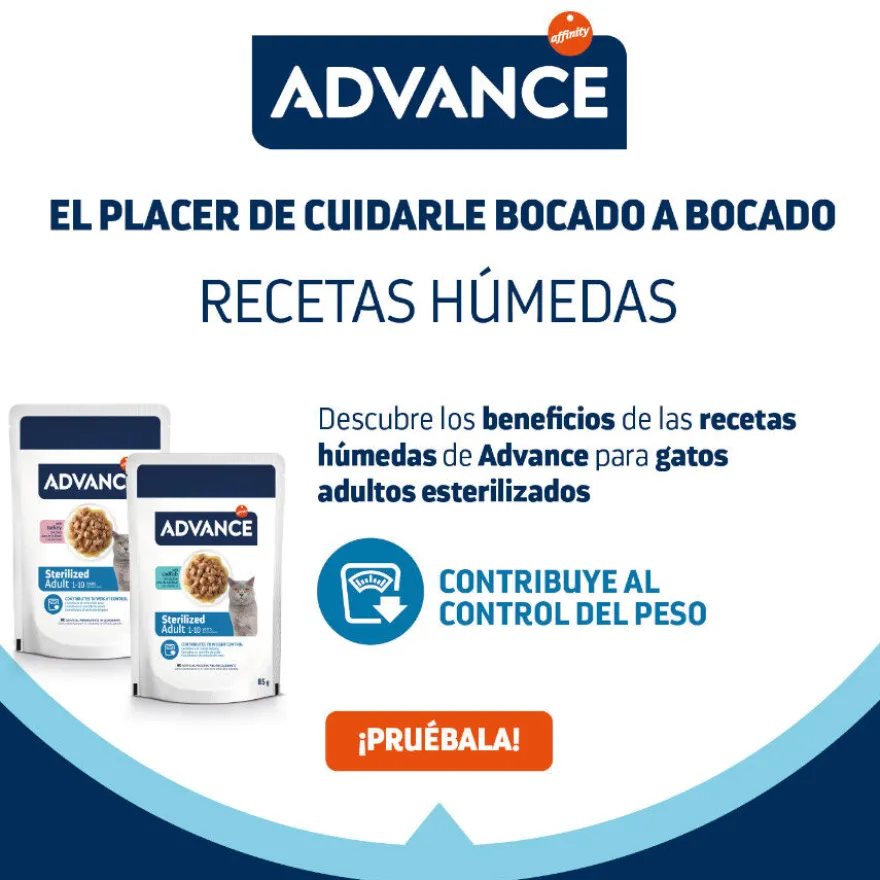 Advance Sterilized Adult Bacalhau saquetas para gatos