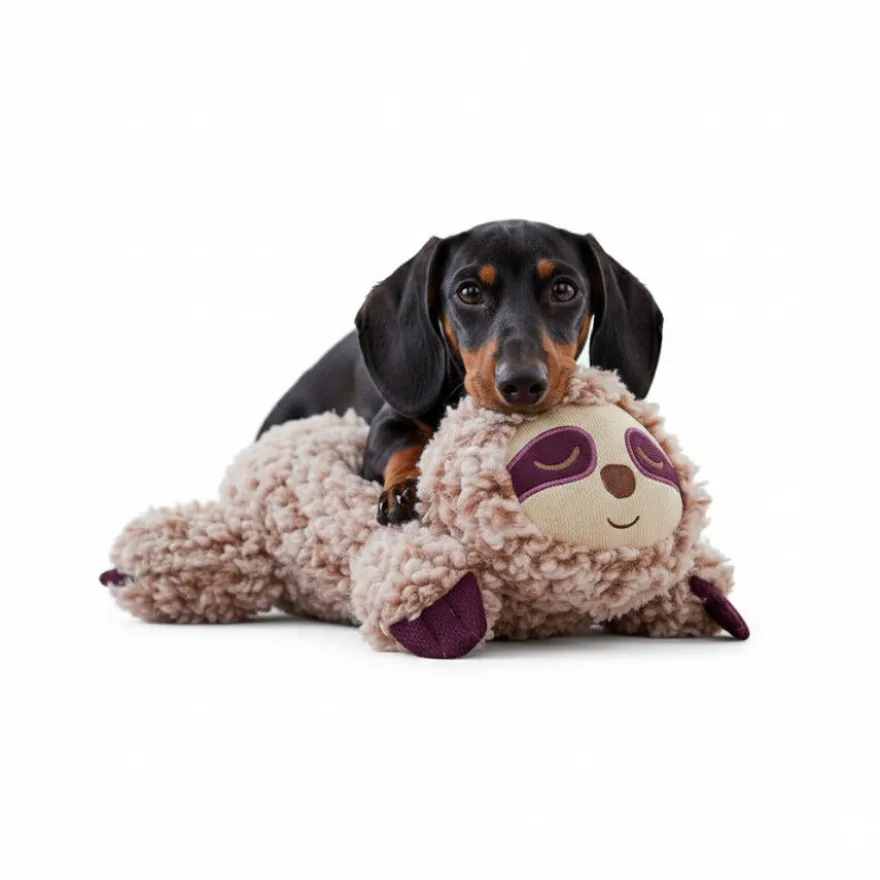All For Paws Calming Pals Preguiça com Lavanda Brinquedo para cães