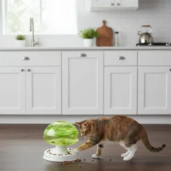 All For Paws Interactives Puzzle Mushroom para gatos
