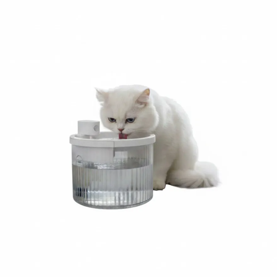All For Paws Lifestyle Fonte sem fios para cães y gatos