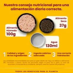 Almo Nature HFC Frango e Atum Esterilizados em Sachê para Gatos