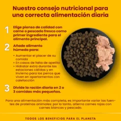 Almo Nature HFC vitela lata para cães