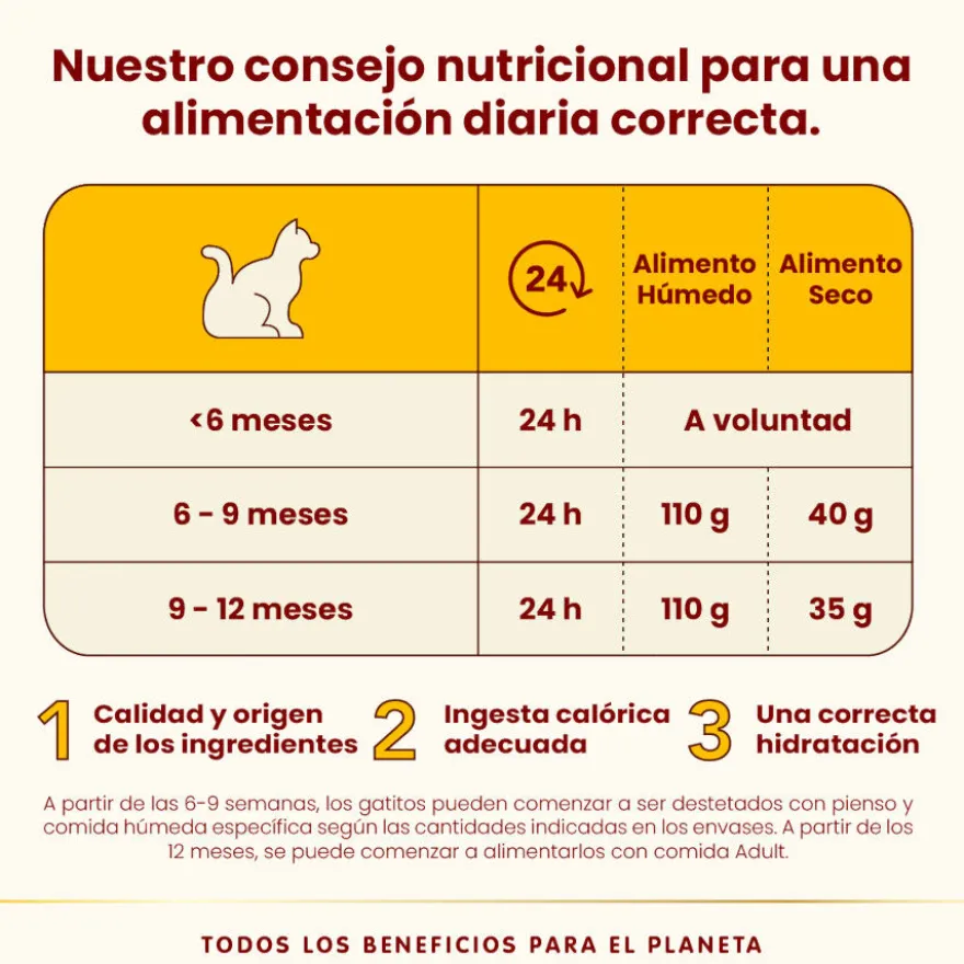Almo Nature Kitten HFC Frango saqueta para gatos