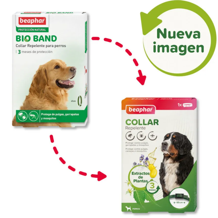 Beaphar Bio Band Coleira repelente para cães