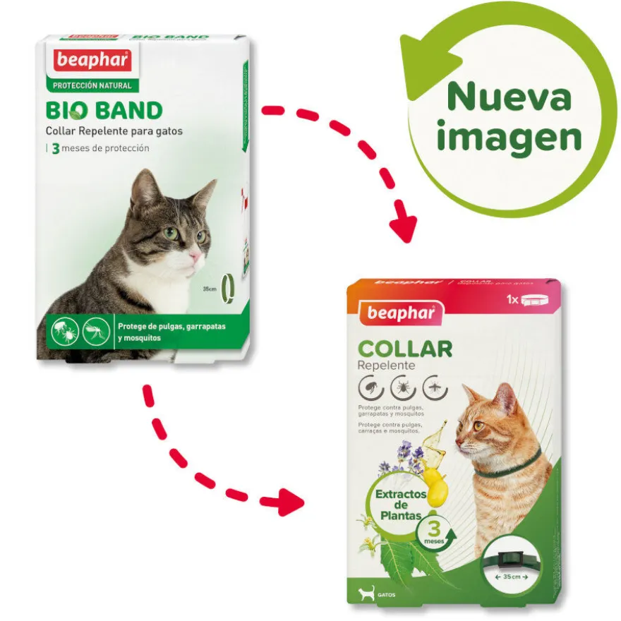 Beaphar Bio Band coleira repelente para gatos