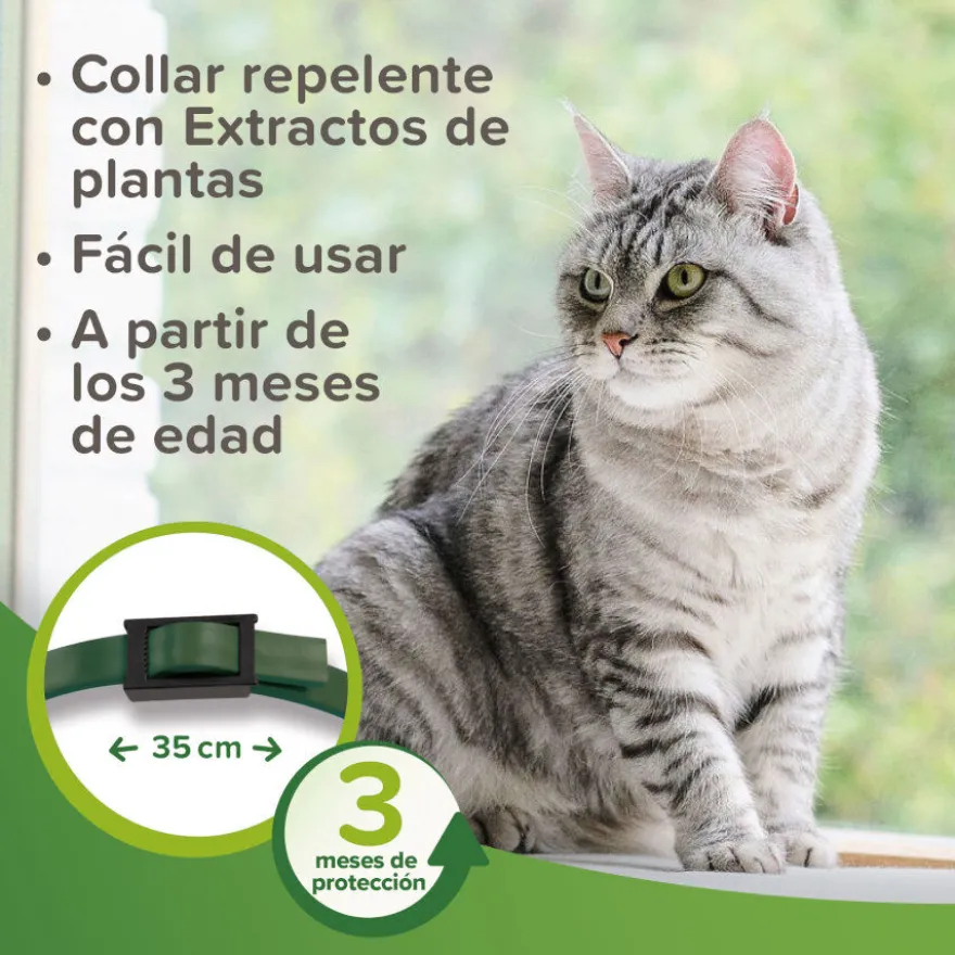 Beaphar Bio Band coleira repelente para gatos