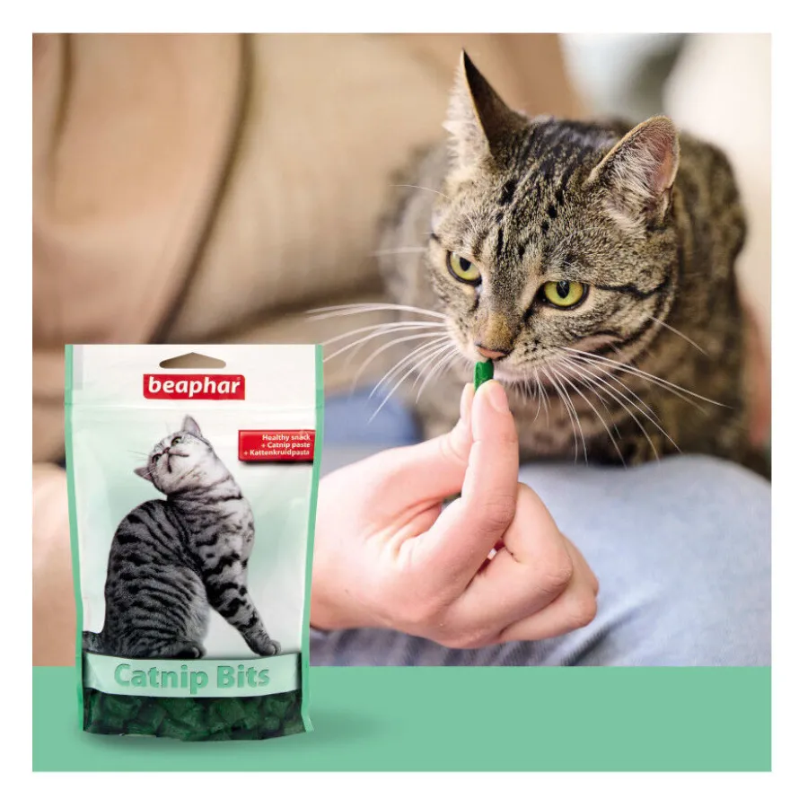 Beaphar Biscoitos Catnip para gatos