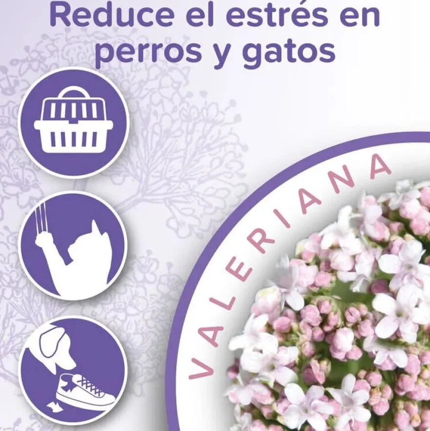 Beaphar Calming spray relaxante para gatos