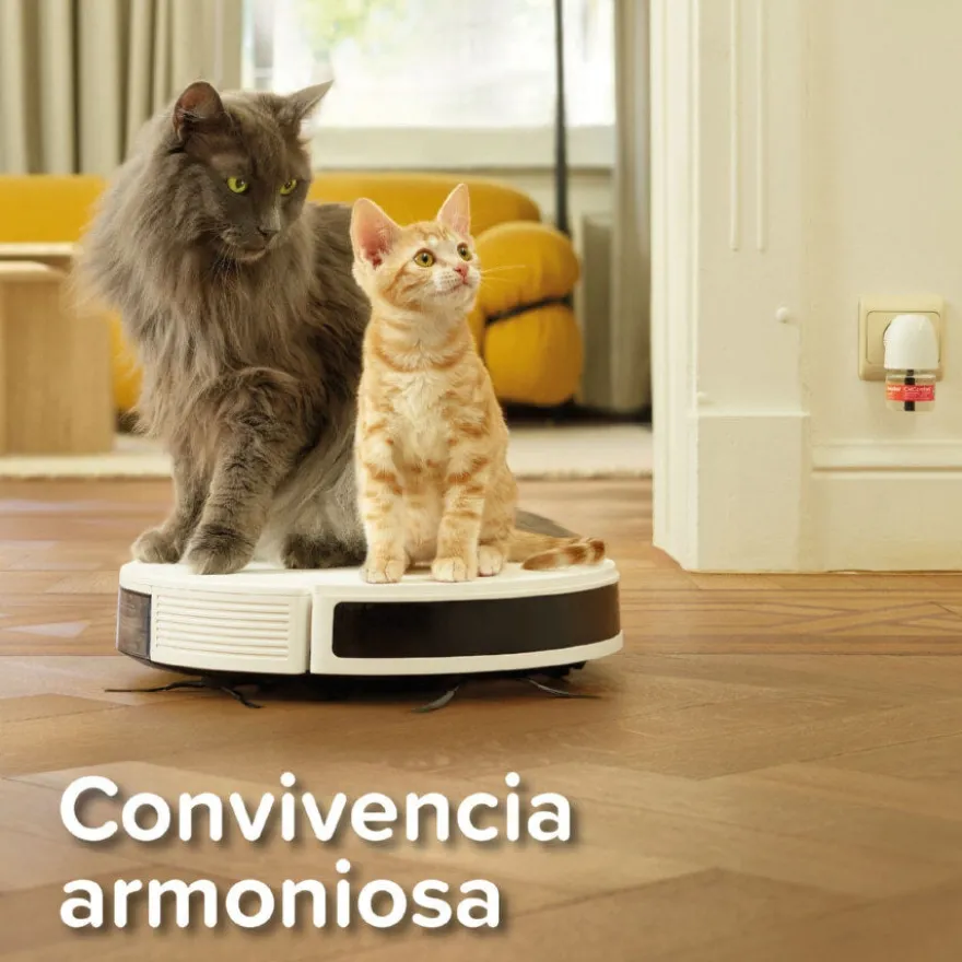 Beaphar CatComfort Excellence Difusor de Feromonas para gatos