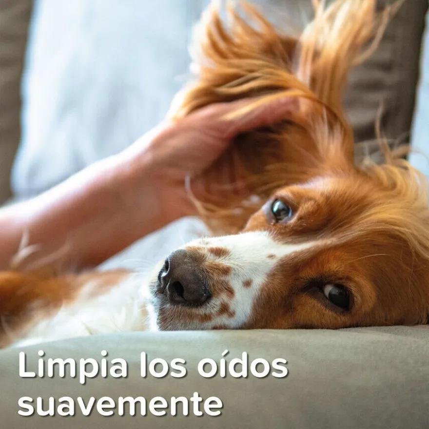 Beaphar Limpador de Orelhas para animais de estimação