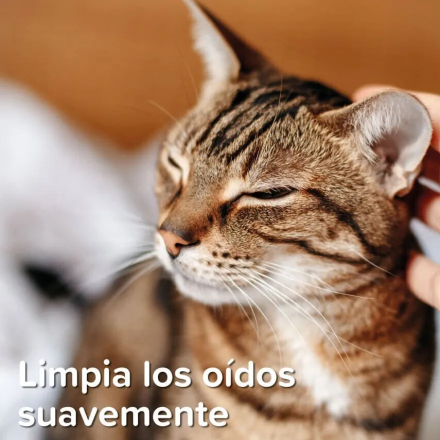 Beaphar Limpador de Orelhas para animais de estimação