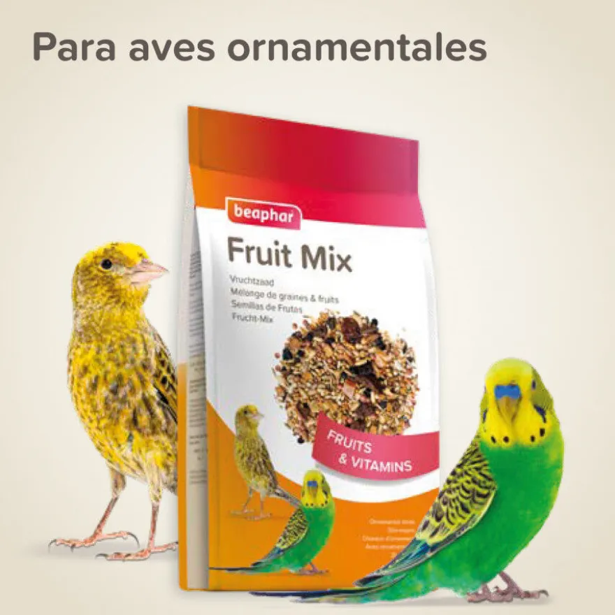 Beaphar sementes de frutas para pássaros