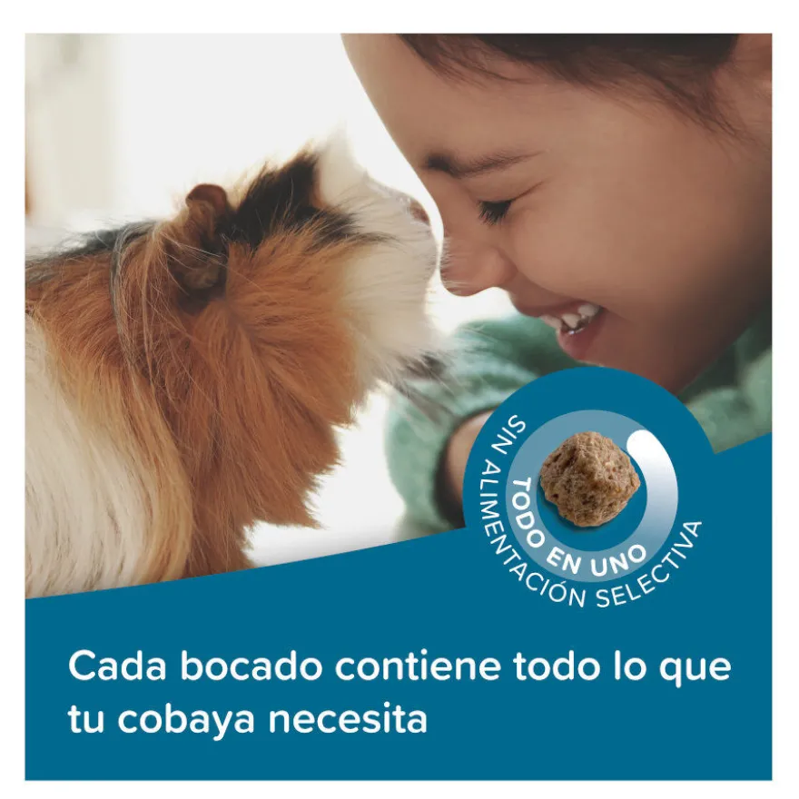 Biophar Care + ração para porquinhos-da-índia