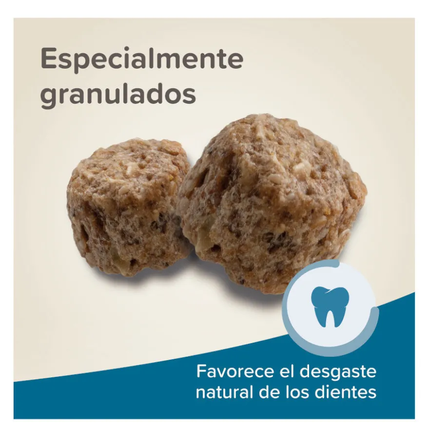Biophar Care + ração para porquinhos-da-índia