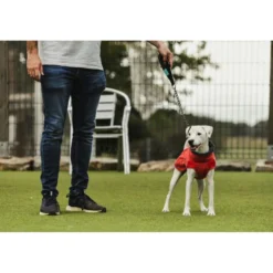 Casaco impermeável vermelho Freedog Oymyakon com arnês para cães