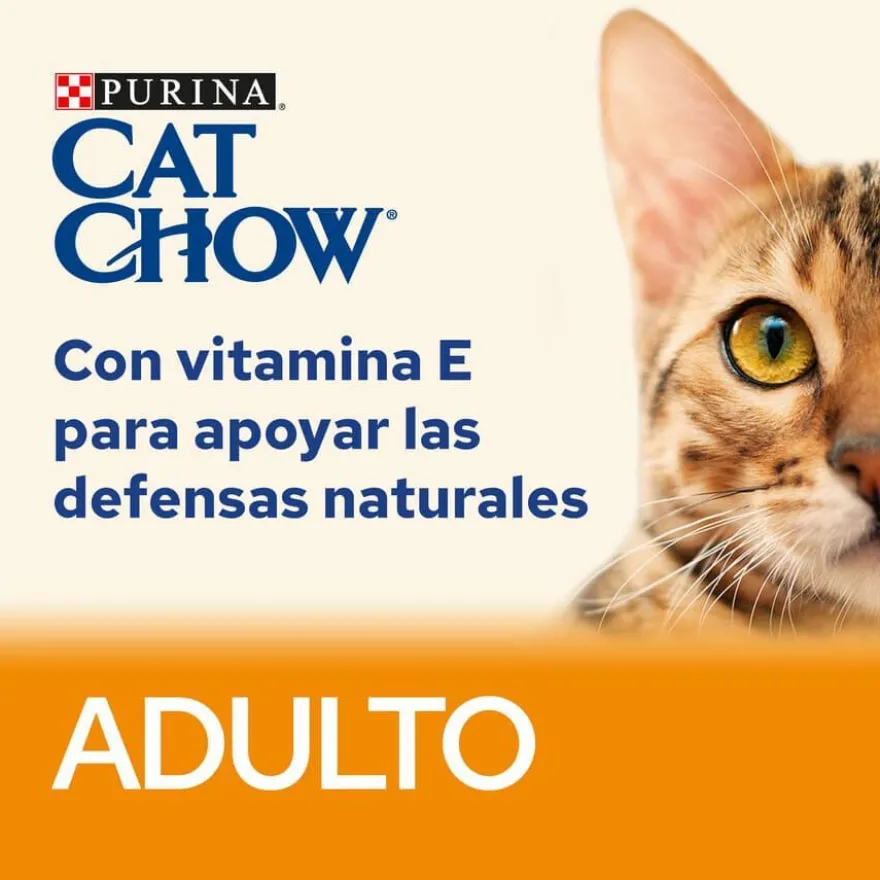 Cat Chow Saqueta de salmão para gatos