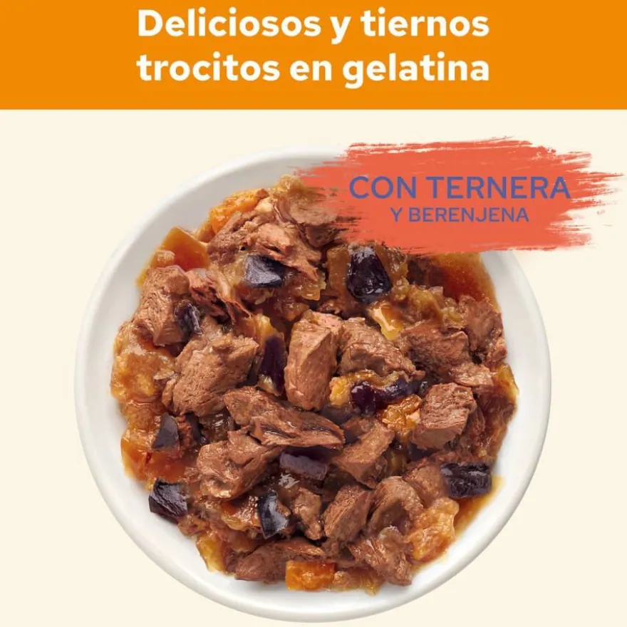 Cat Chow Saquetas Beef para gatos