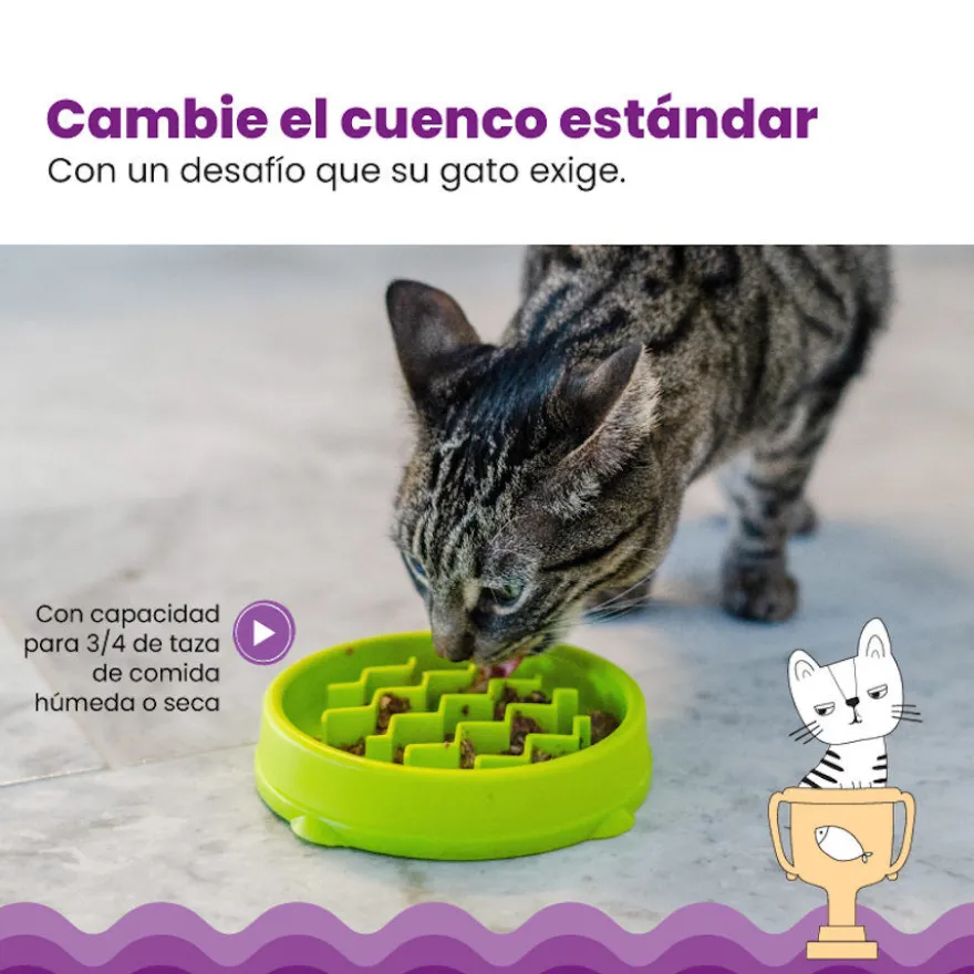 Catstages Cat Fun Comedouro Anti-Voracidade Verde para gatos
