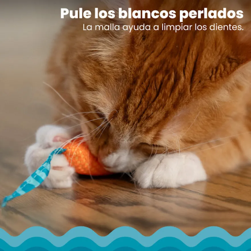 Catstages Chew Rato com Catnip para gatos