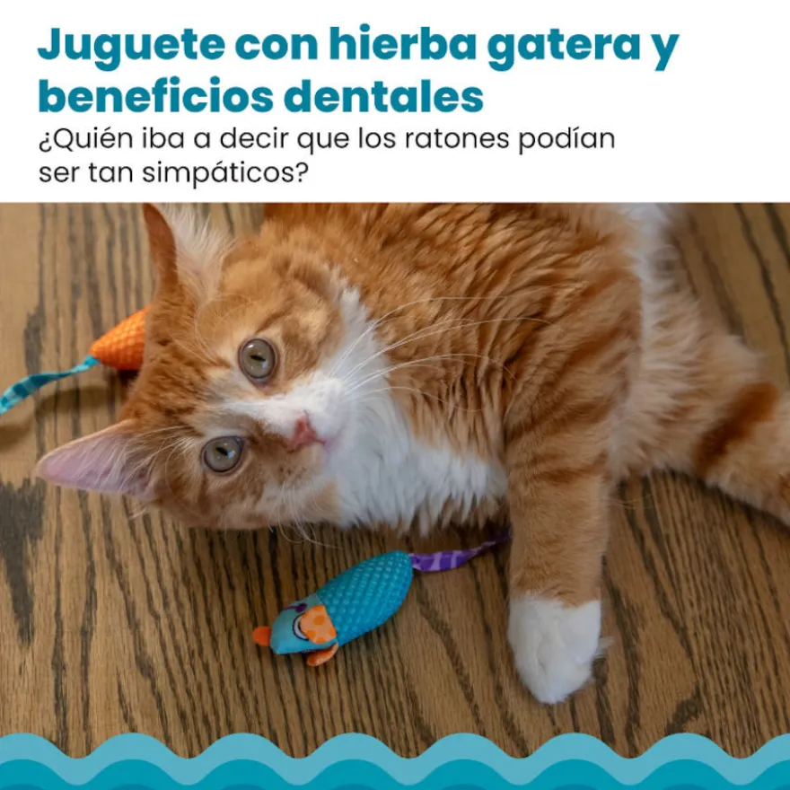 Catstages Chew Rato com Catnip para gatos
