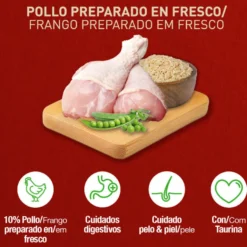 Catxtreme Adult Outdoors Ração de Frango para gatos