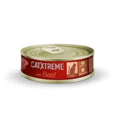 Catxtreme Pack pequeno - Essenciais do dia a dia