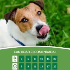 Churu Snack Cremoso Receita de Frango com Atum para cães – Multipack 12