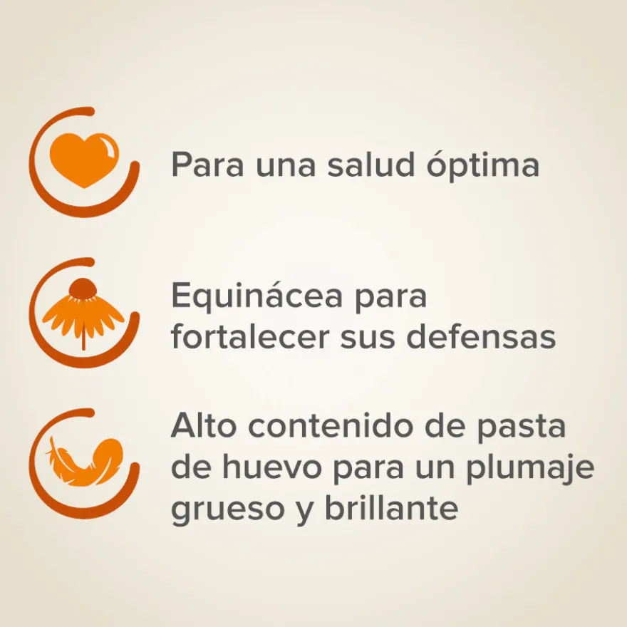 Comida para pássaros Beaphar XtraVital Premium Canários