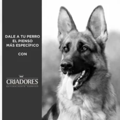 Criadores Adult Borrego e Arroz ração para cães de porte médio e grande