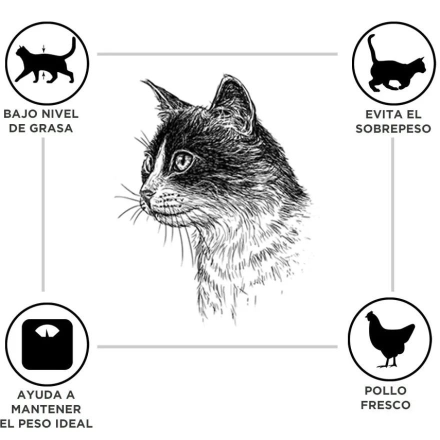 Criadores Adulto Esterilizado Frango ração para gatos
