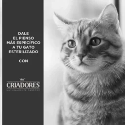 Criadores Adulto Esterilizado Frango ração para gatos