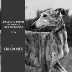 Criadores Adulto Ração de frango e arroz para cães de porte médio