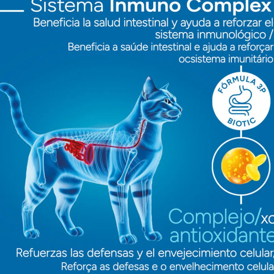 Criadores Científico Adulto Esterilizado Ração de frango para gatos