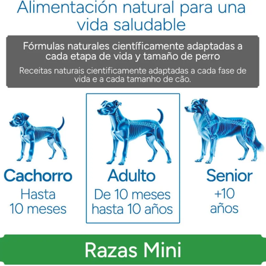 Criadores Científico Adulto Mini Ração de frango para cães
