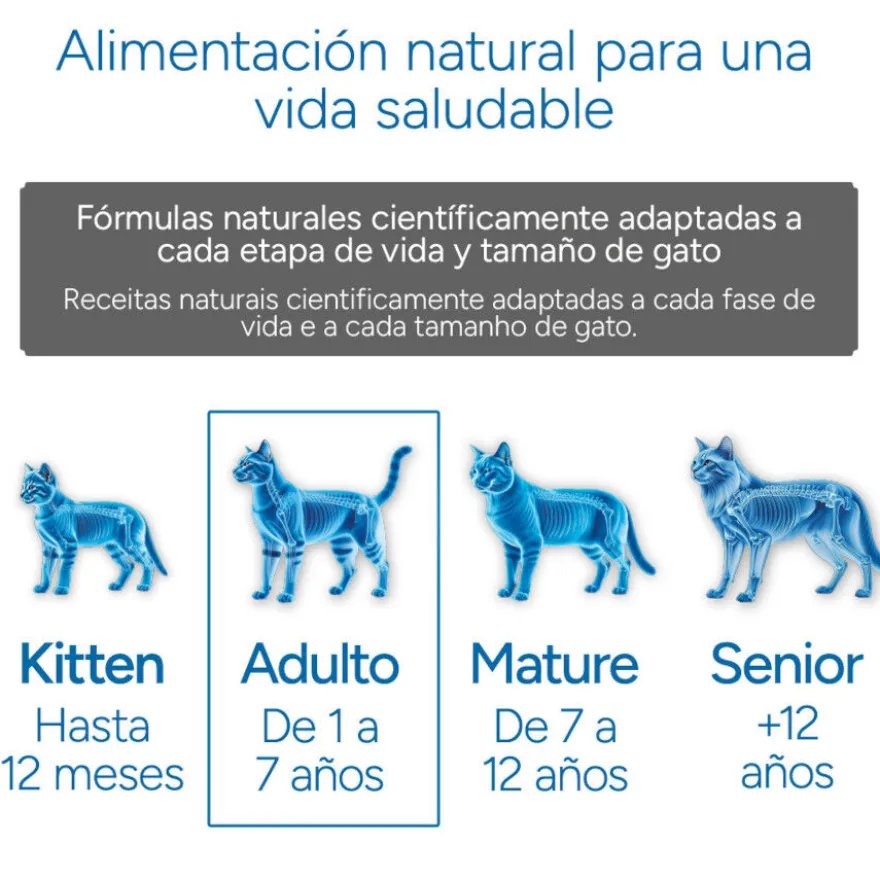 Criadores Científico Adulto Ração de frango para gatos