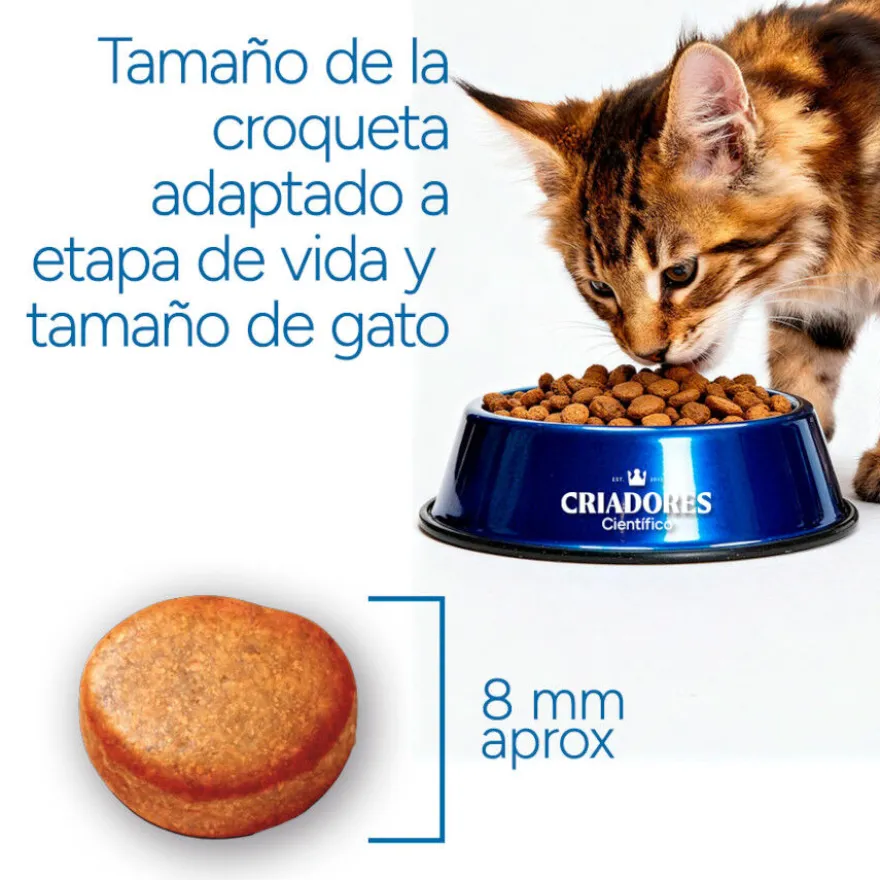 Criadores Científico Adulto Ração de frango para gatos