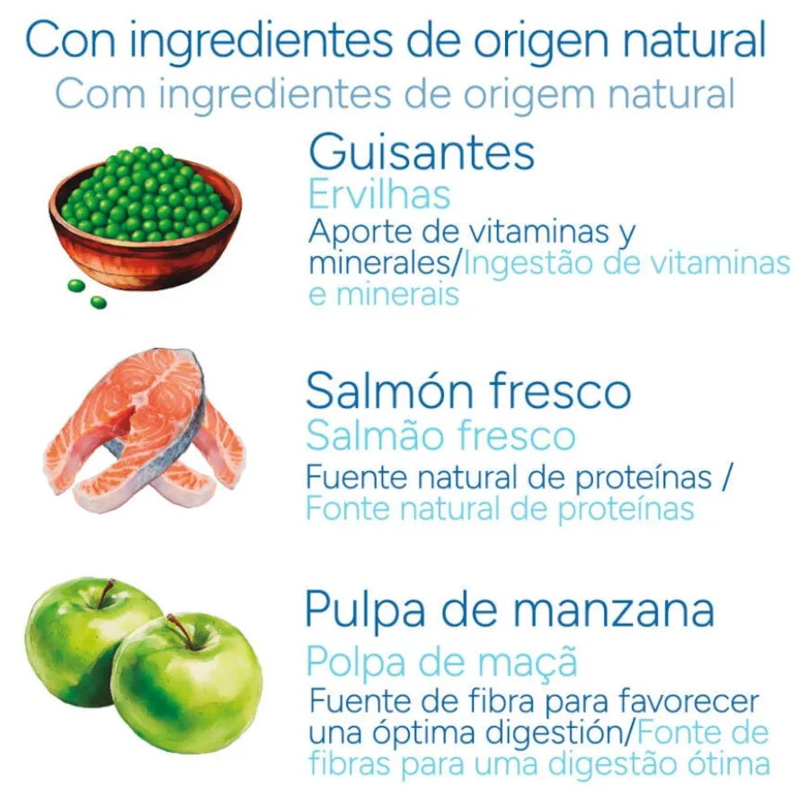 Criadores Científico Senior Sensitive Mini Ração de salmão para cães