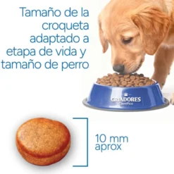 Criadores Científico Senior Sensitive Mini Ração de salmão para cães