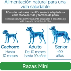 Criadores Científico Senior Sensitive Mini Ração de salmão para cães